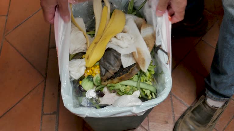 Best Same-Day Junk Removal Services  in Eyota, MN